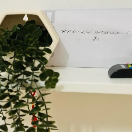 Casa Alejandra * Napoli